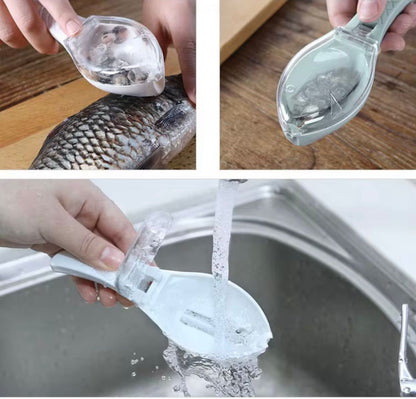Ecailleur de poisson